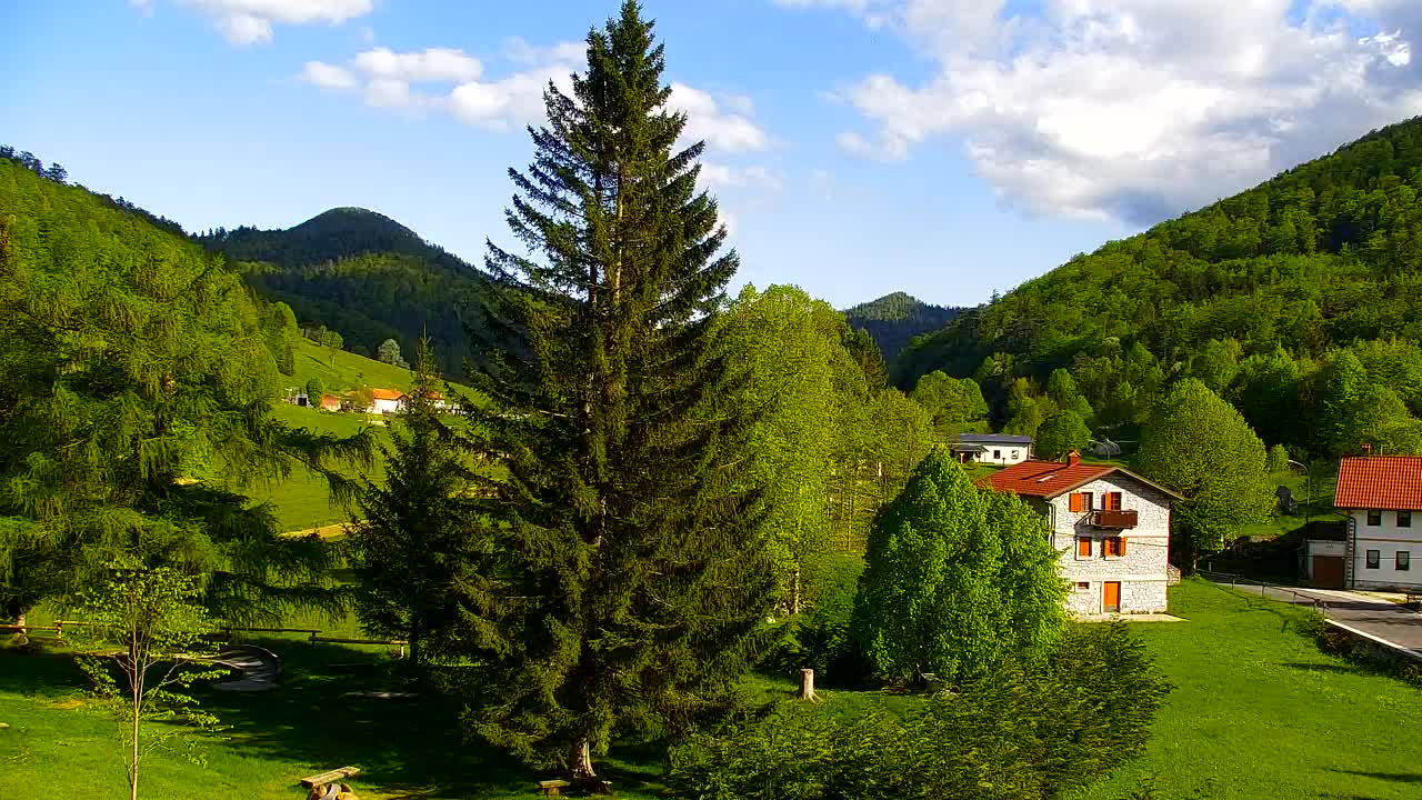 Webcam Lokve – La beauté de la forêt de Trnovo