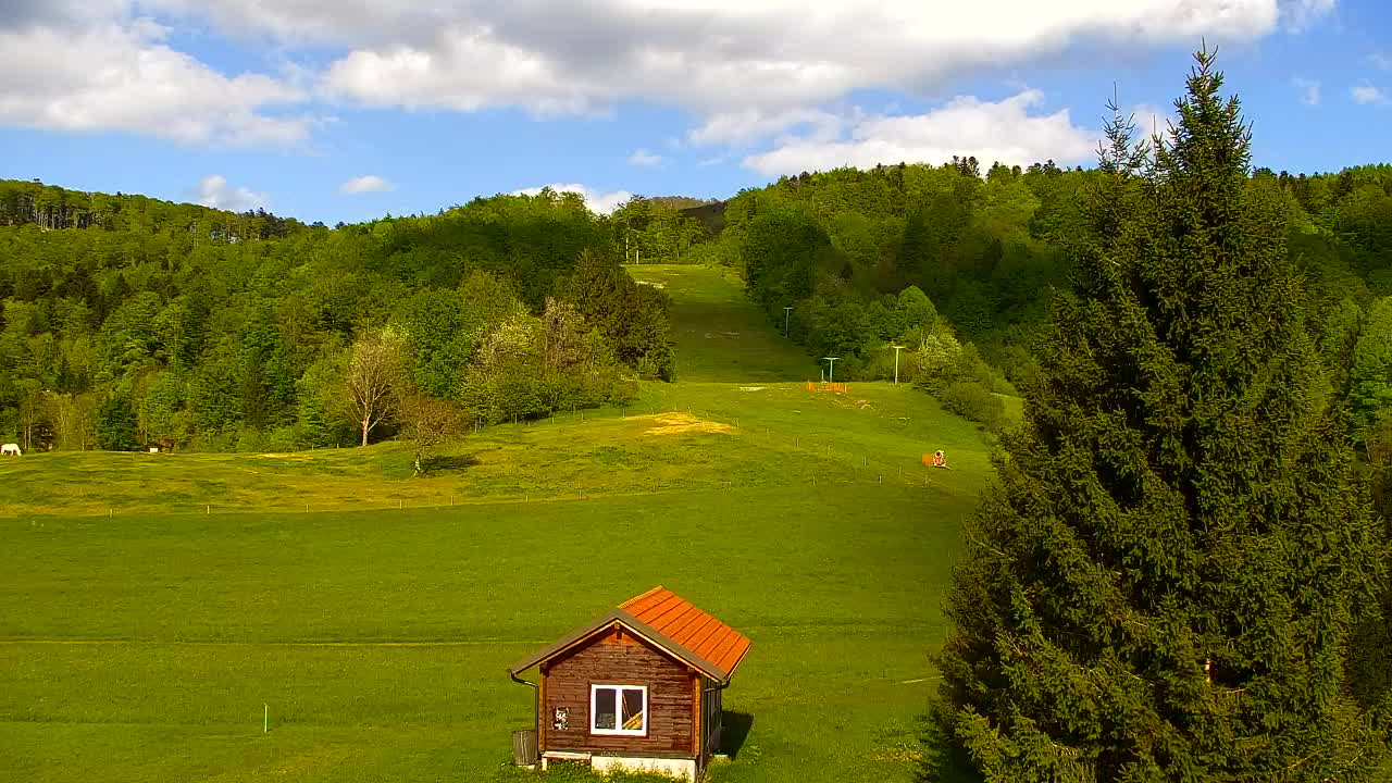 Webcam Lokve – The beauty of the Trnovo forest