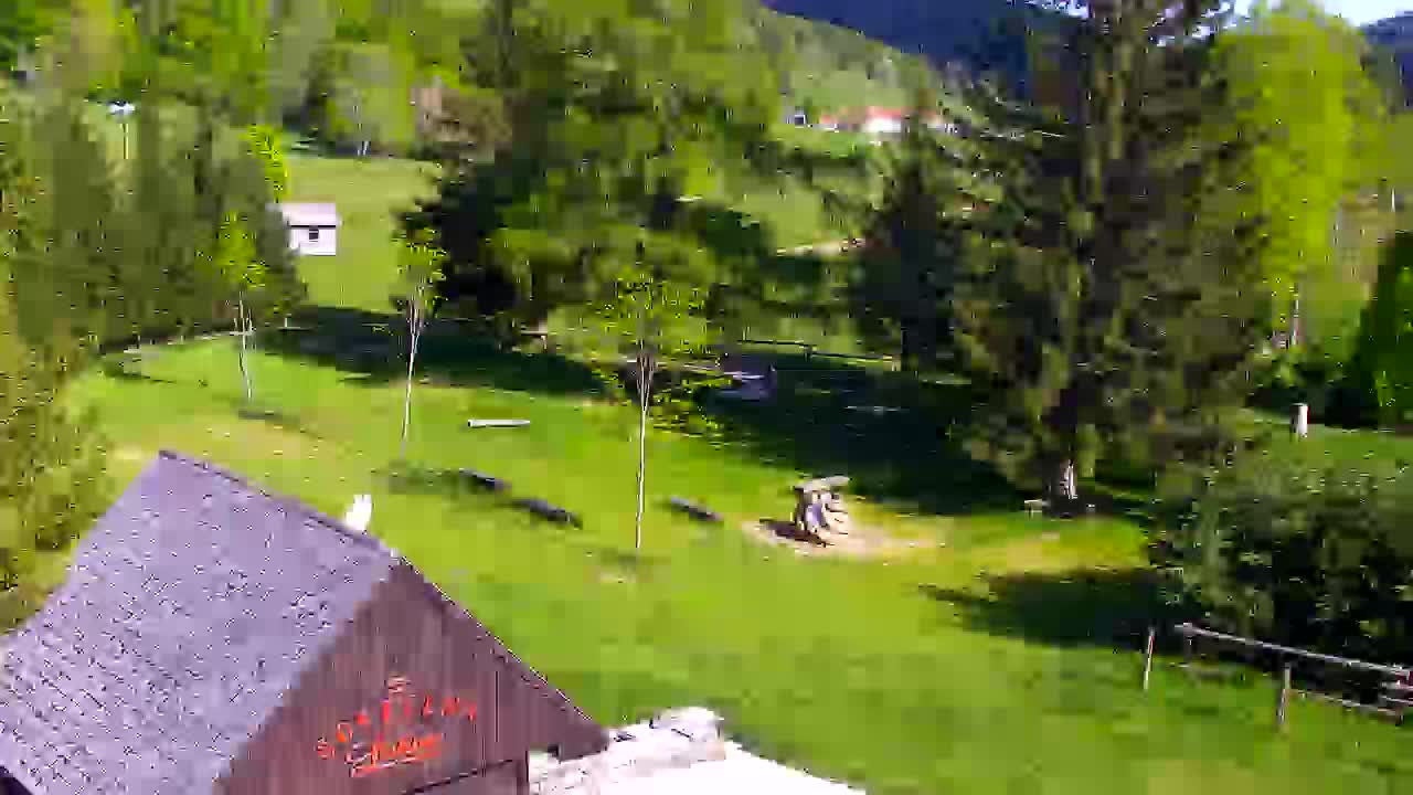 Webcam Lokve – La beauté de la forêt de Trnovo