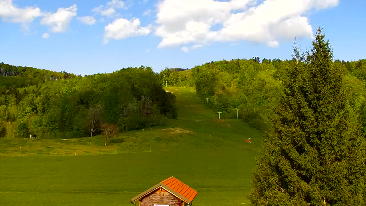 Webcam Loqua / Lokve – La bellezza della selva di Tarnova