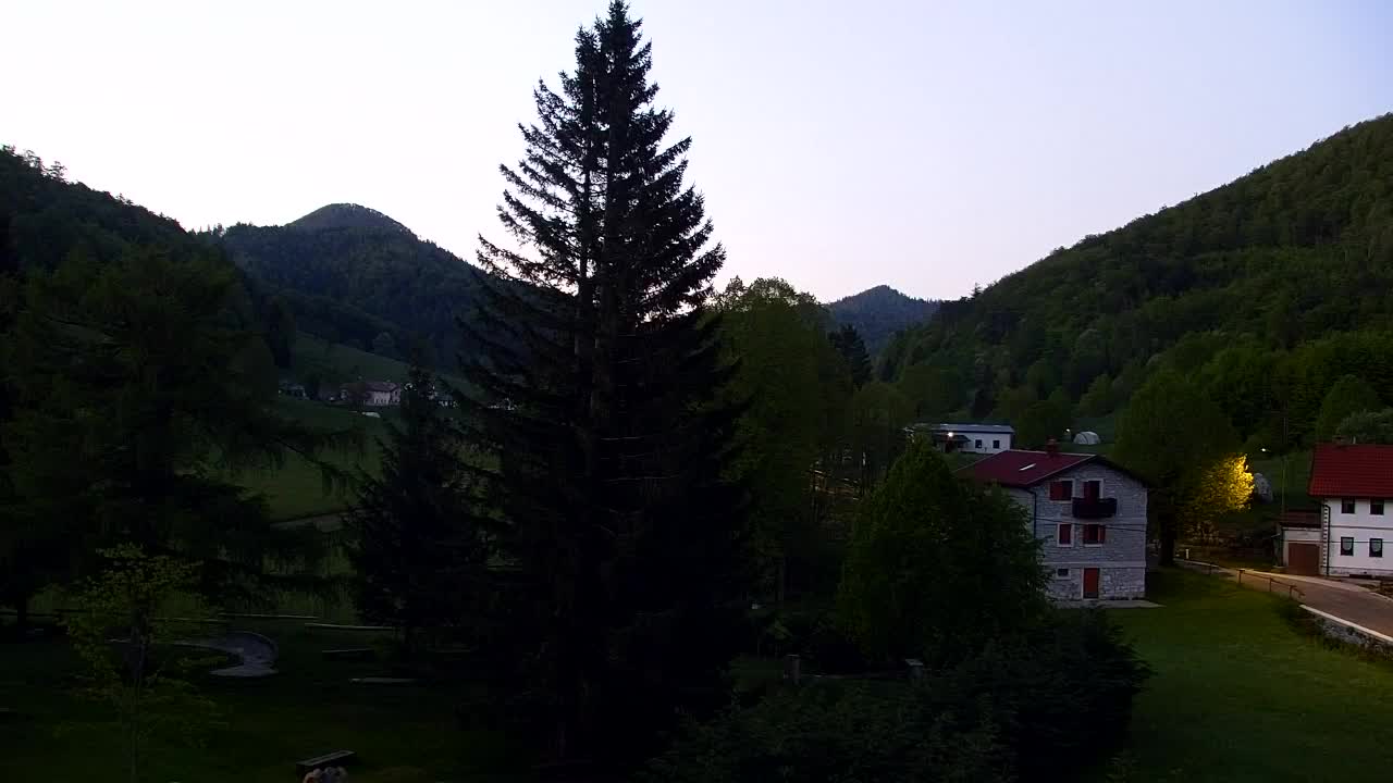 Webcam Loqua / Lokve – La bellezza della selva di Tarnova