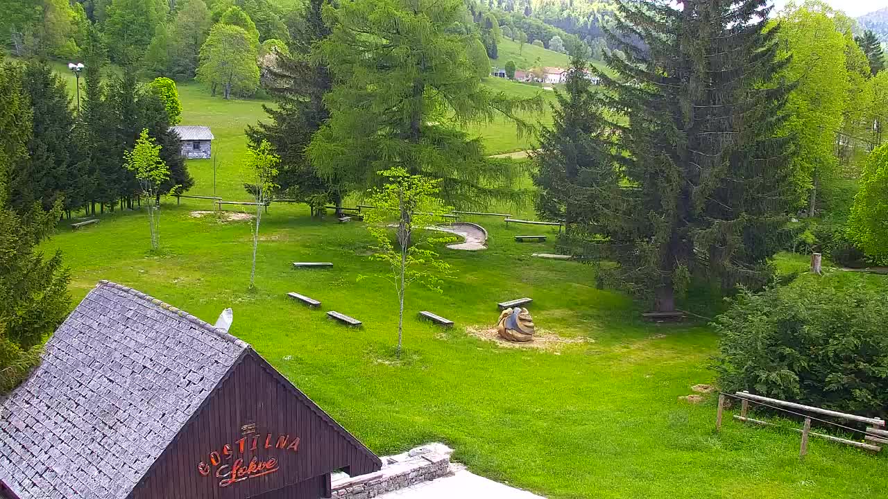 Camera en vivo Lokve – La belleza del bosque de Trnovo