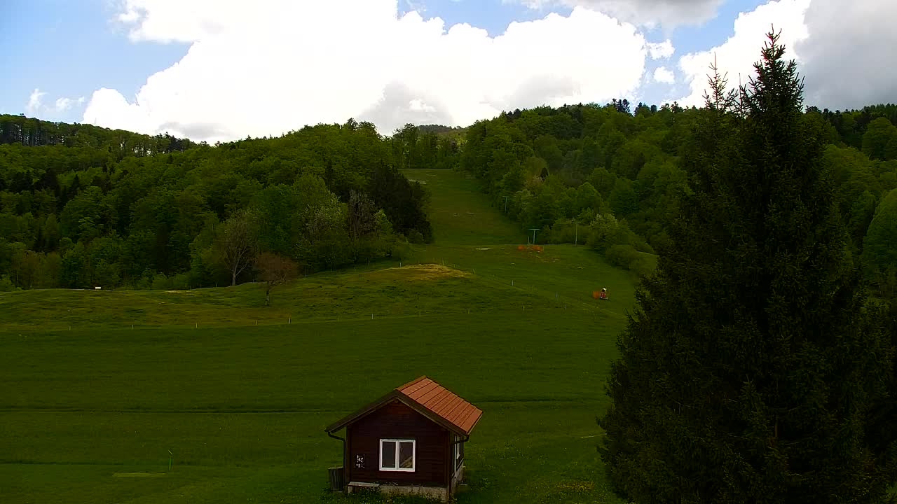 Webcam Lokve – The beauty of the Trnovo forest