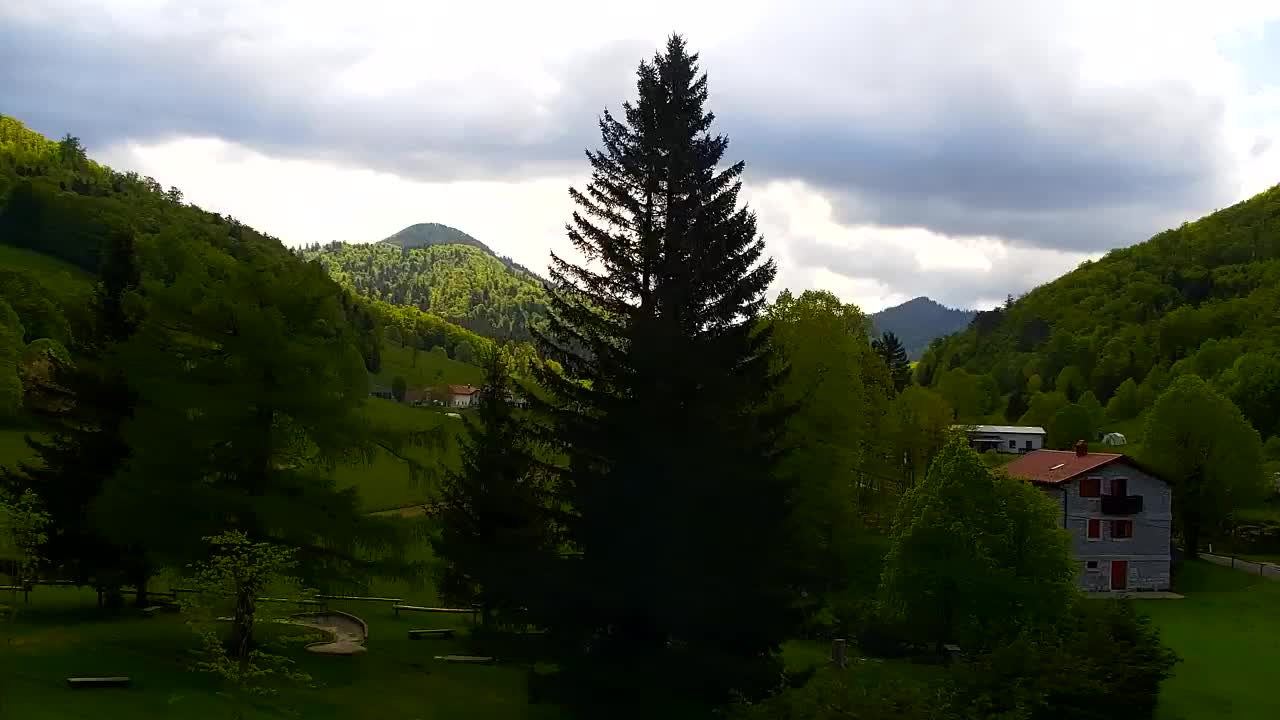 Webcam Lokve – The beauty of the Trnovo forest