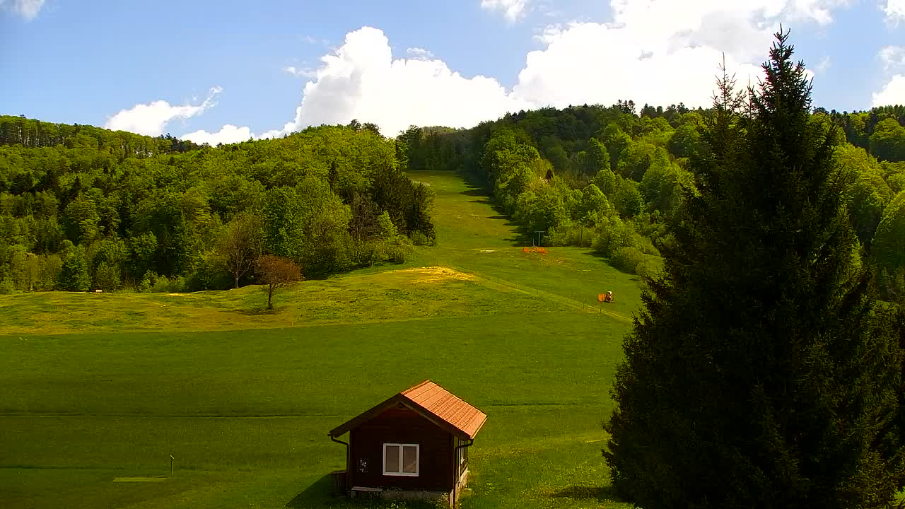 Webcam Loqua / Lokve – La bellezza della selva di Tarnova