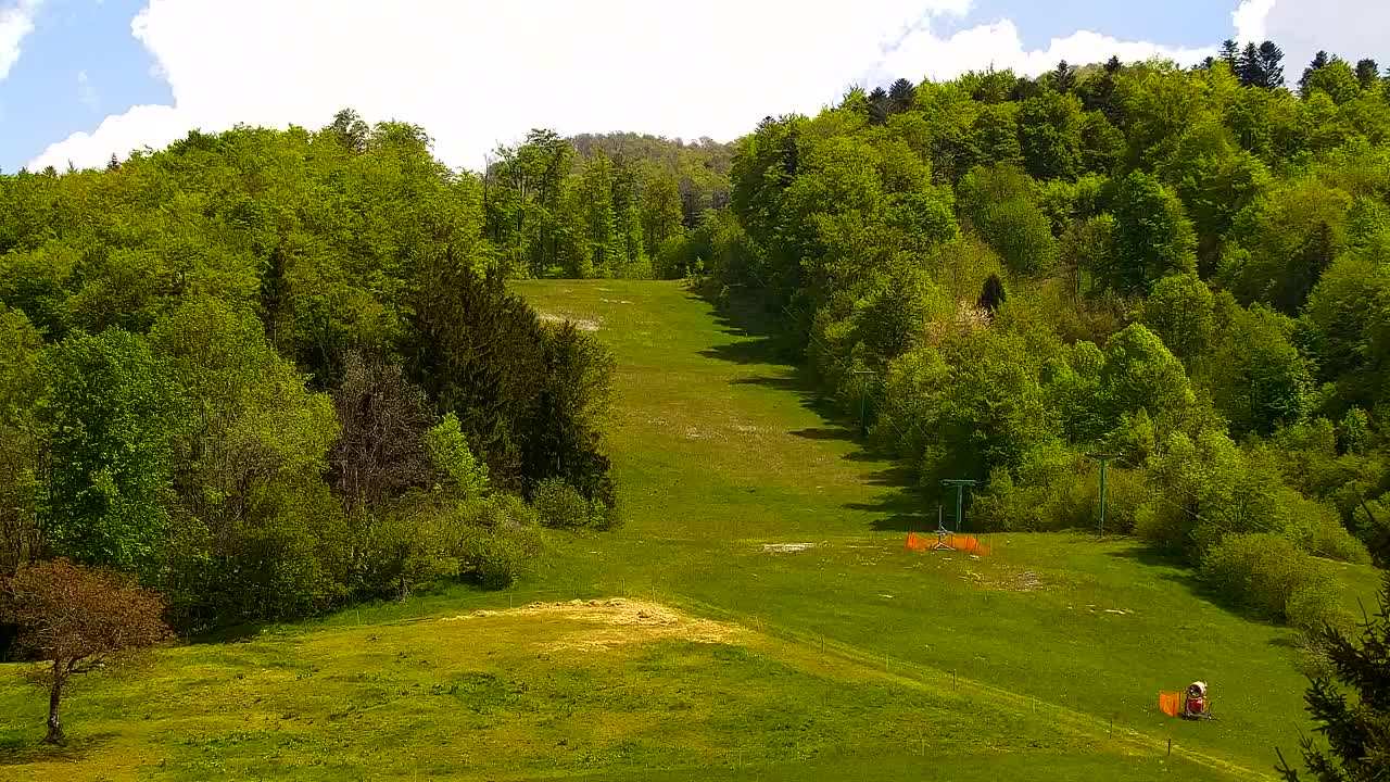 Webcam Loqua / Lokve – La bellezza della selva di Tarnova