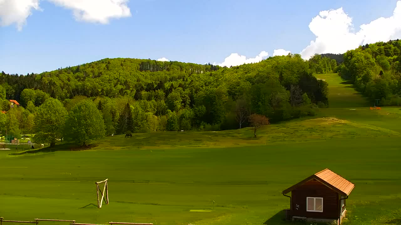 Webcam Lokve – Die Schönheit des Trnovo-Waldes