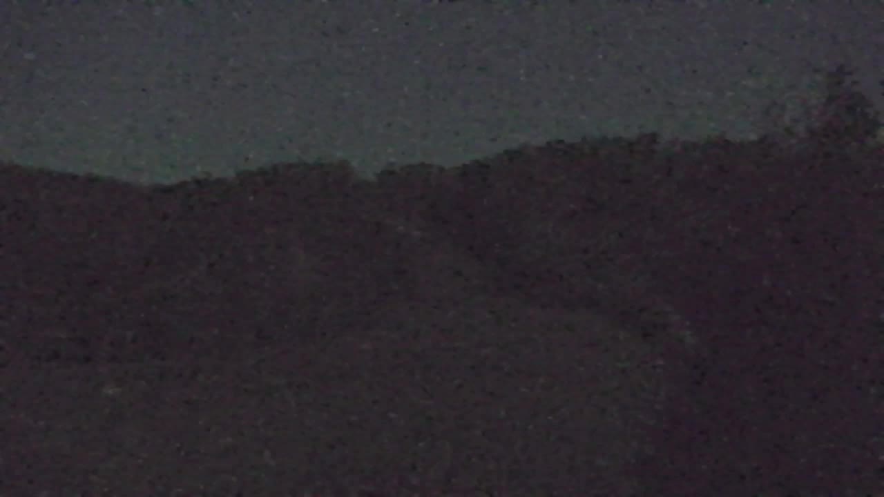 Webcam Lokve – The beauty of the Trnovo forest