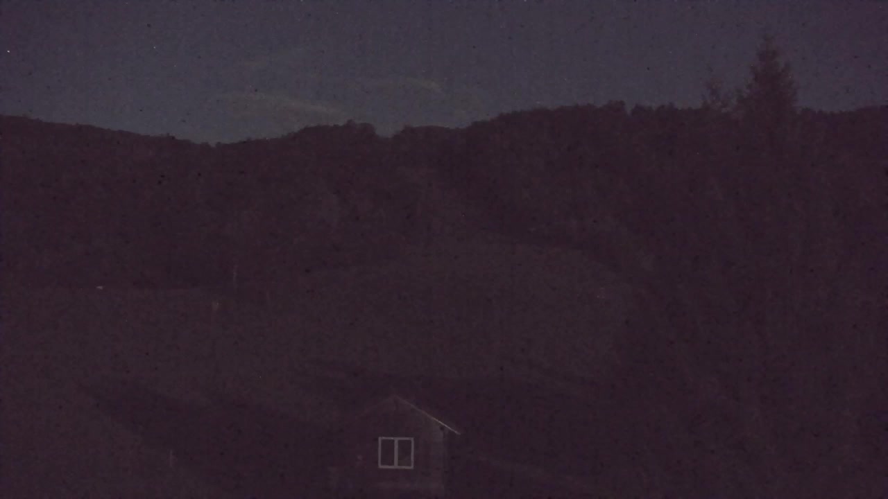 Webcam Lokve – La beauté de la forêt de Trnovo