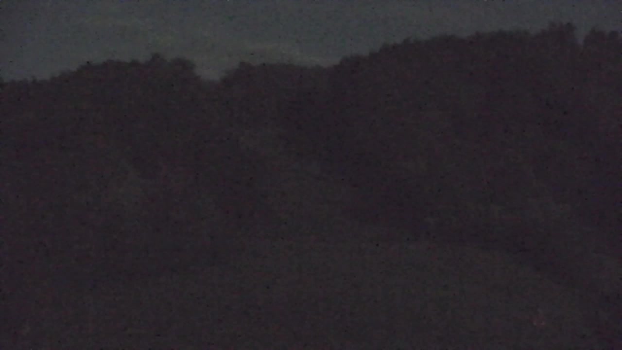Webcam Lokve – La beauté de la forêt de Trnovo