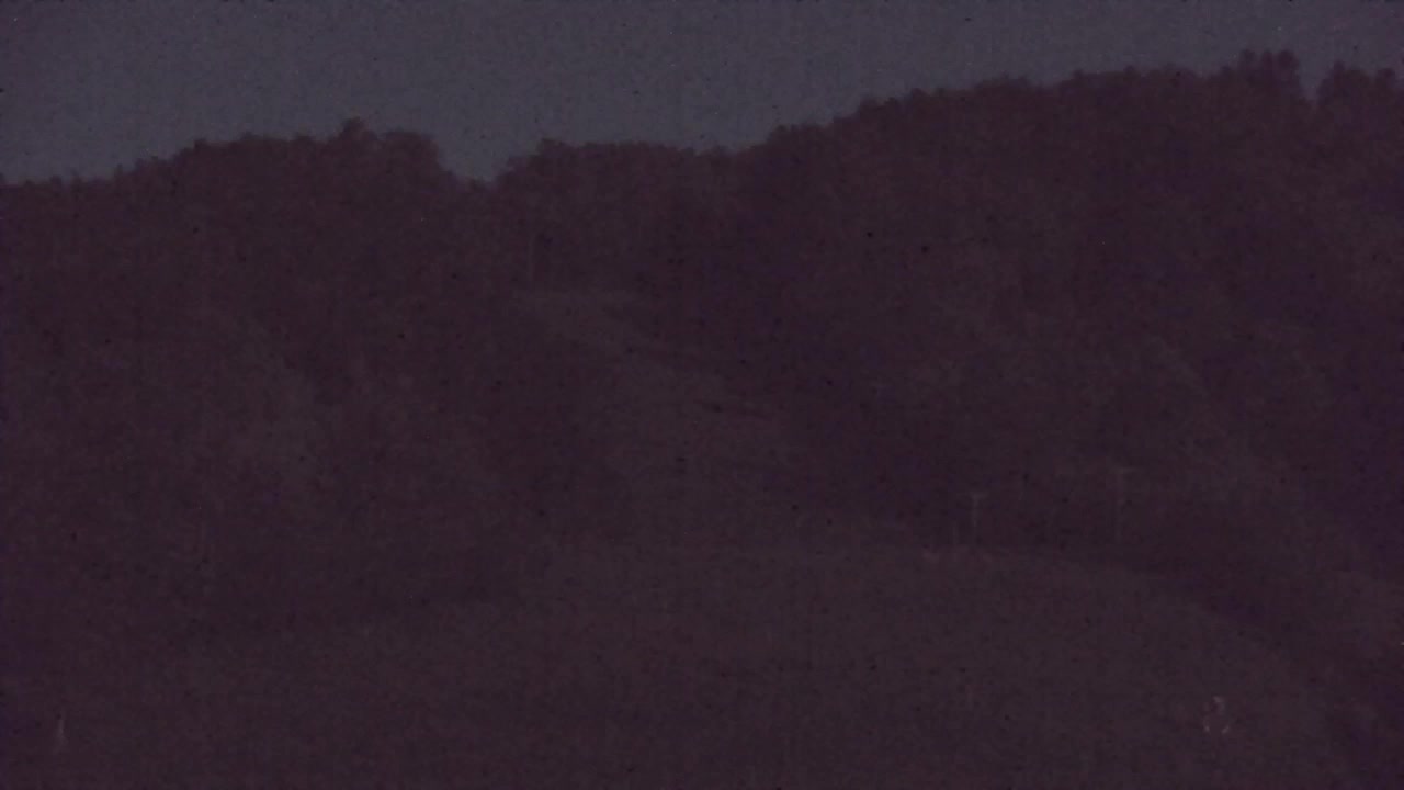 Webcam Loqua / Lokve – La bellezza della selva di Tarnova
