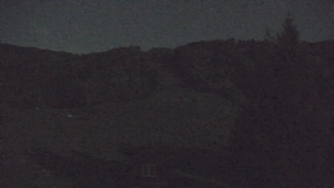 Webcam Loqua / Lokve – La bellezza della selva di Tarnova