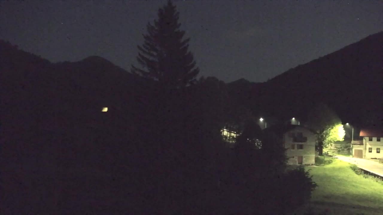 Webcam Loqua / Lokve – La bellezza della selva di Tarnova