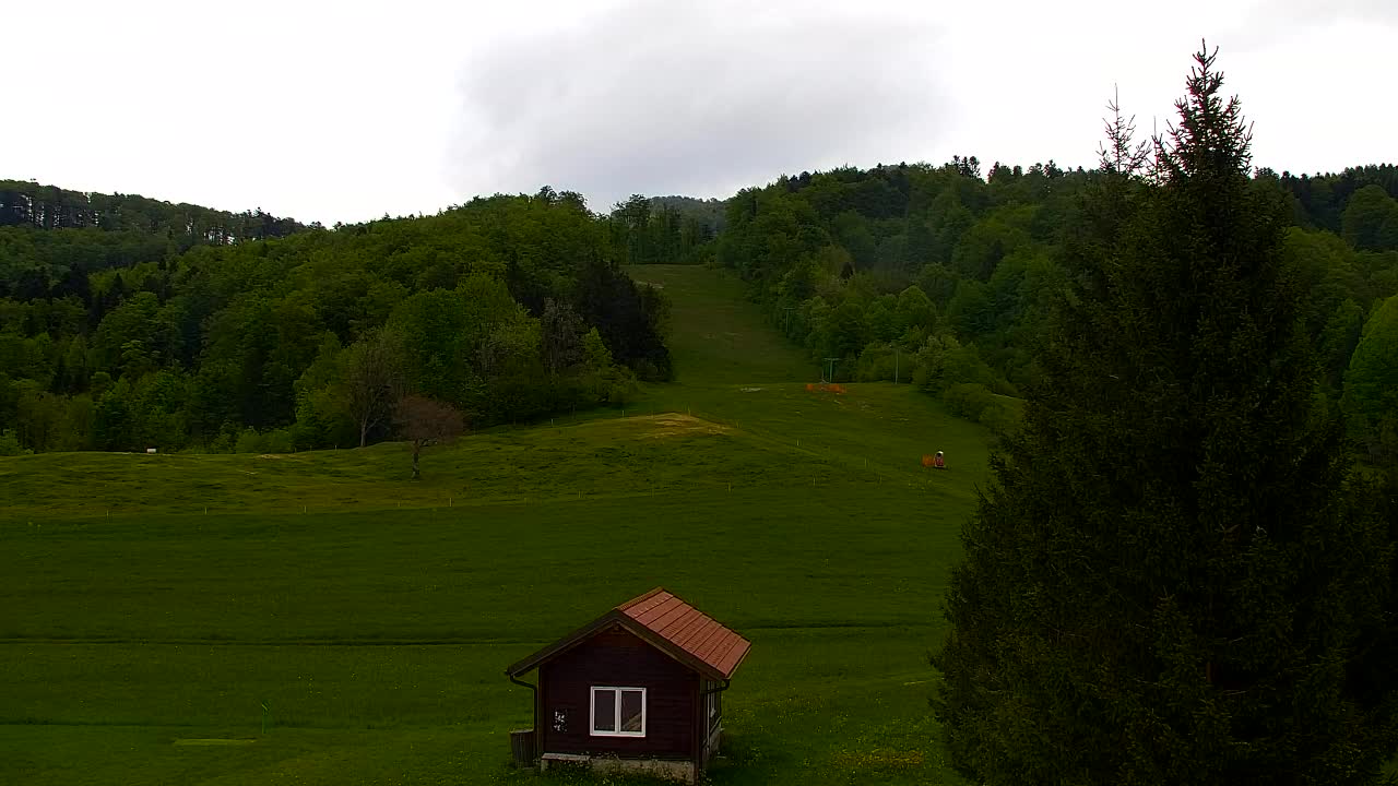 Lokve kamera – Naravne lepote Trnovskega gozda