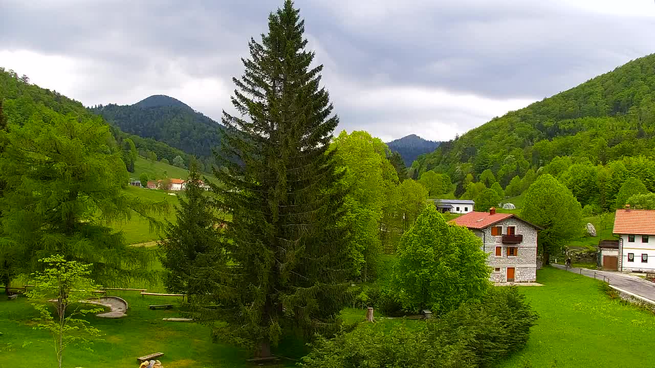 Webcam Lokve – Die Schönheit des Trnovo-Waldes