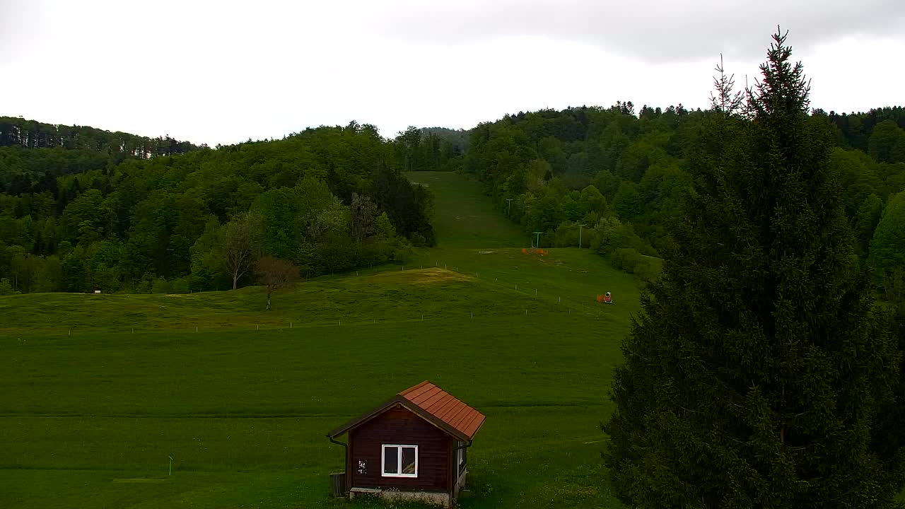 Lokve kamera – Naravne lepote Trnovskega gozda