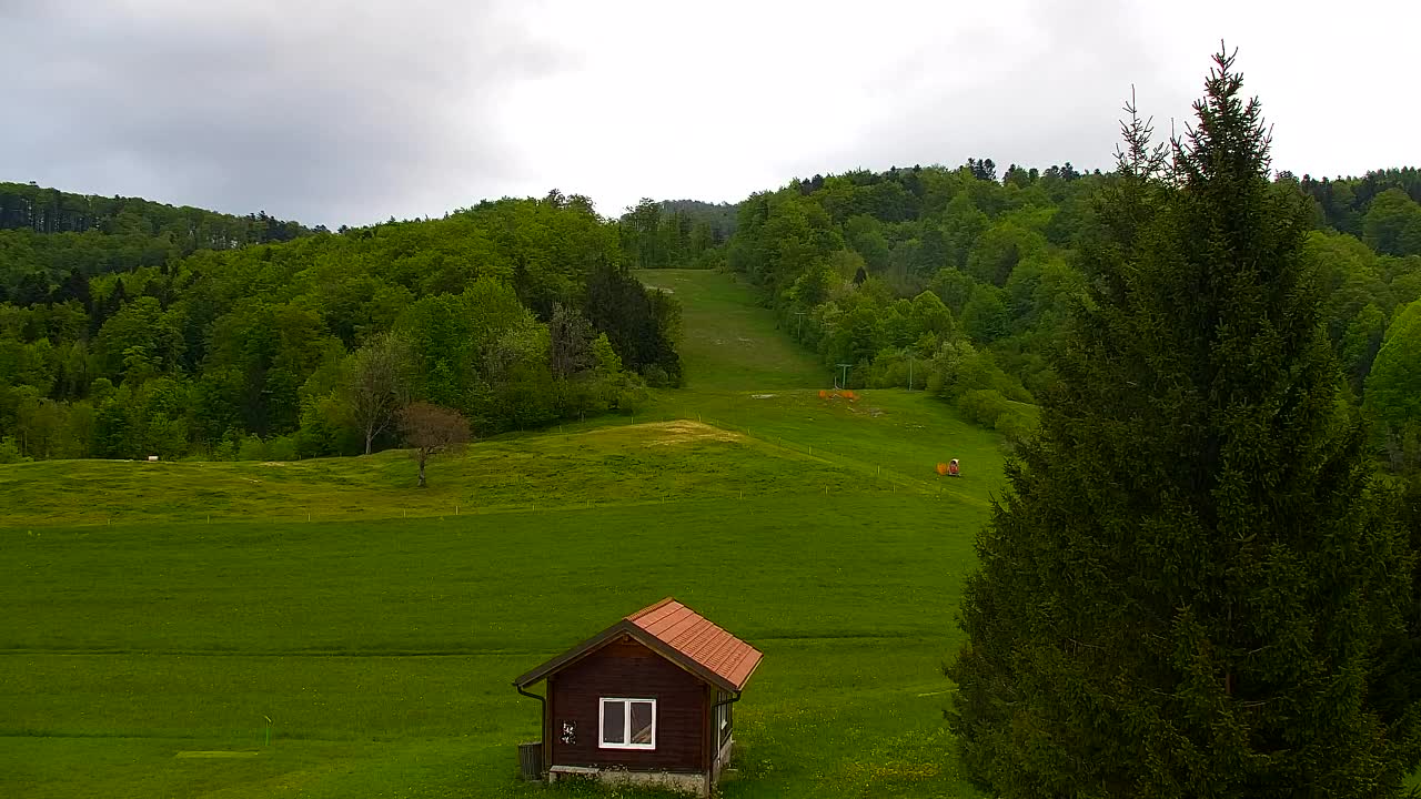 Lokve kamera – Naravne lepote Trnovskega gozda
