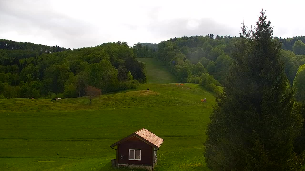 Webcam Lokve – The beauty of the Trnovo forest