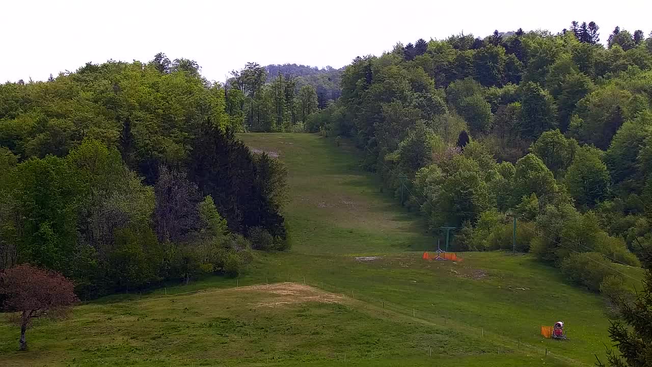 Webcam Lokve – The beauty of the Trnovo forest