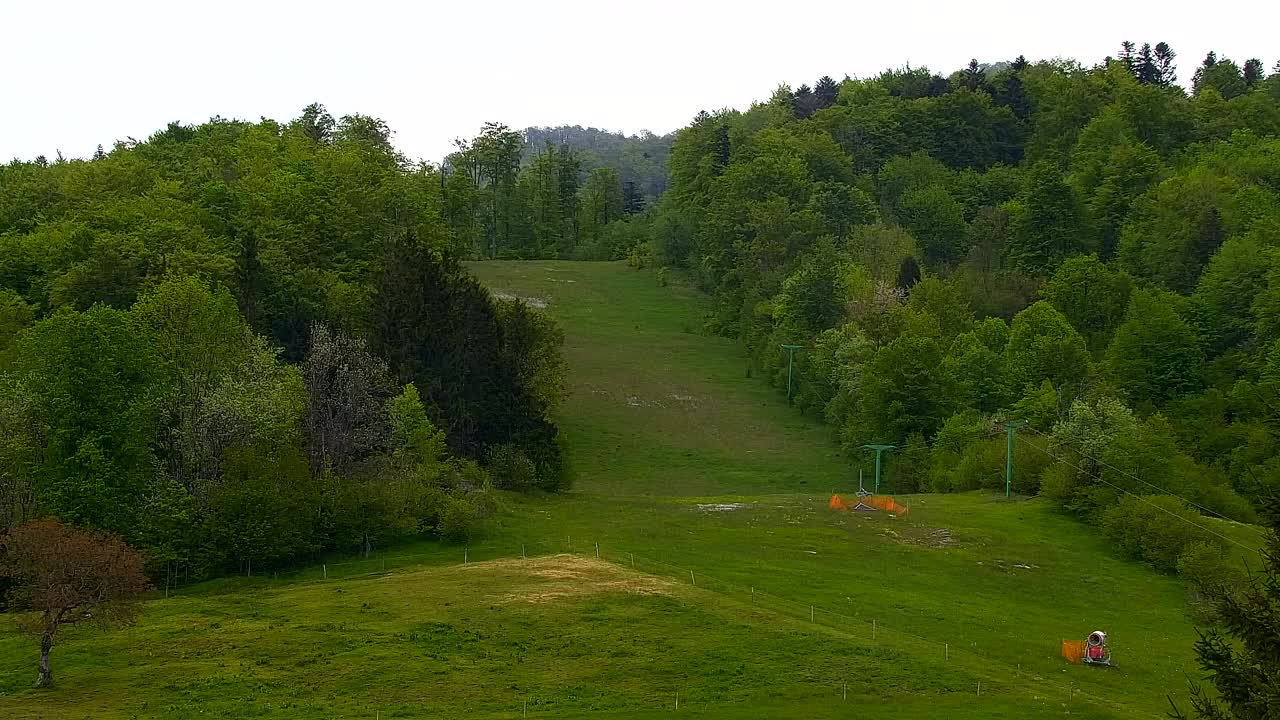 Webcam Lokve – The beauty of the Trnovo forest