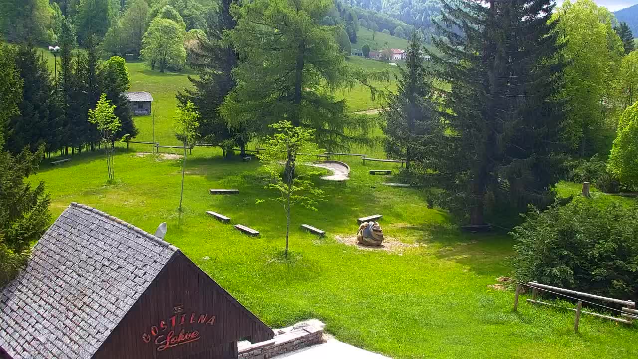 Webcam Lokve – Die Schönheit des Trnovo-Waldes