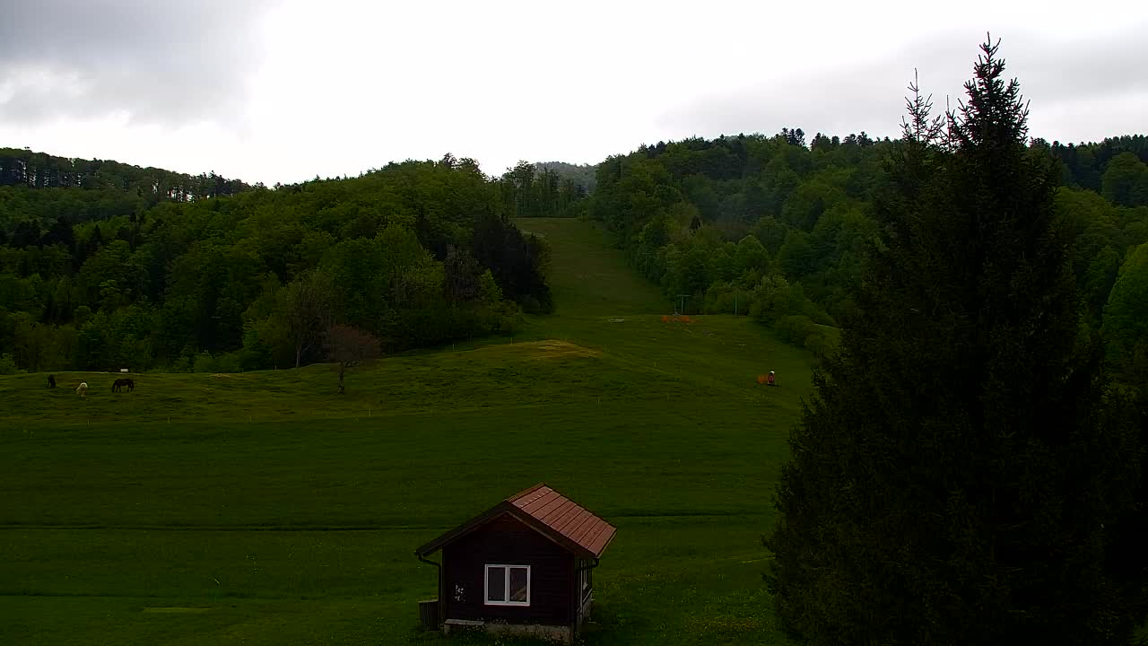 Webcam Lokve – La beauté de la forêt de Trnovo