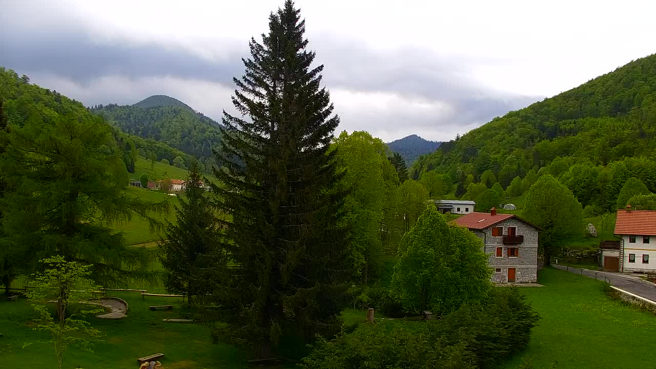 Webcam Loqua / Lokve – La bellezza della selva di Tarnova