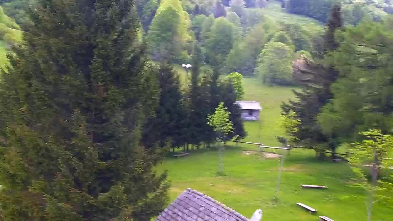 Camera en vivo Lokve – La belleza del bosque de Trnovo