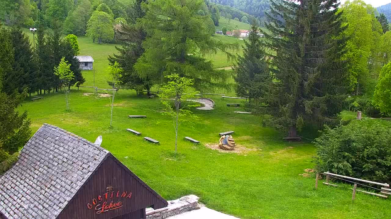 Webcam Lokve – La beauté de la forêt de Trnovo
