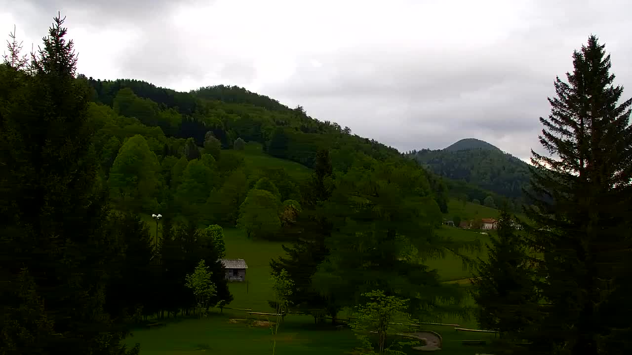Webcam Loqua / Lokve – La bellezza della selva di Tarnova