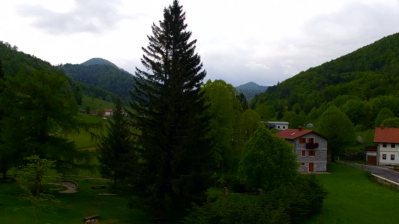 Webcam Lokve – La beauté de la forêt de Trnovo