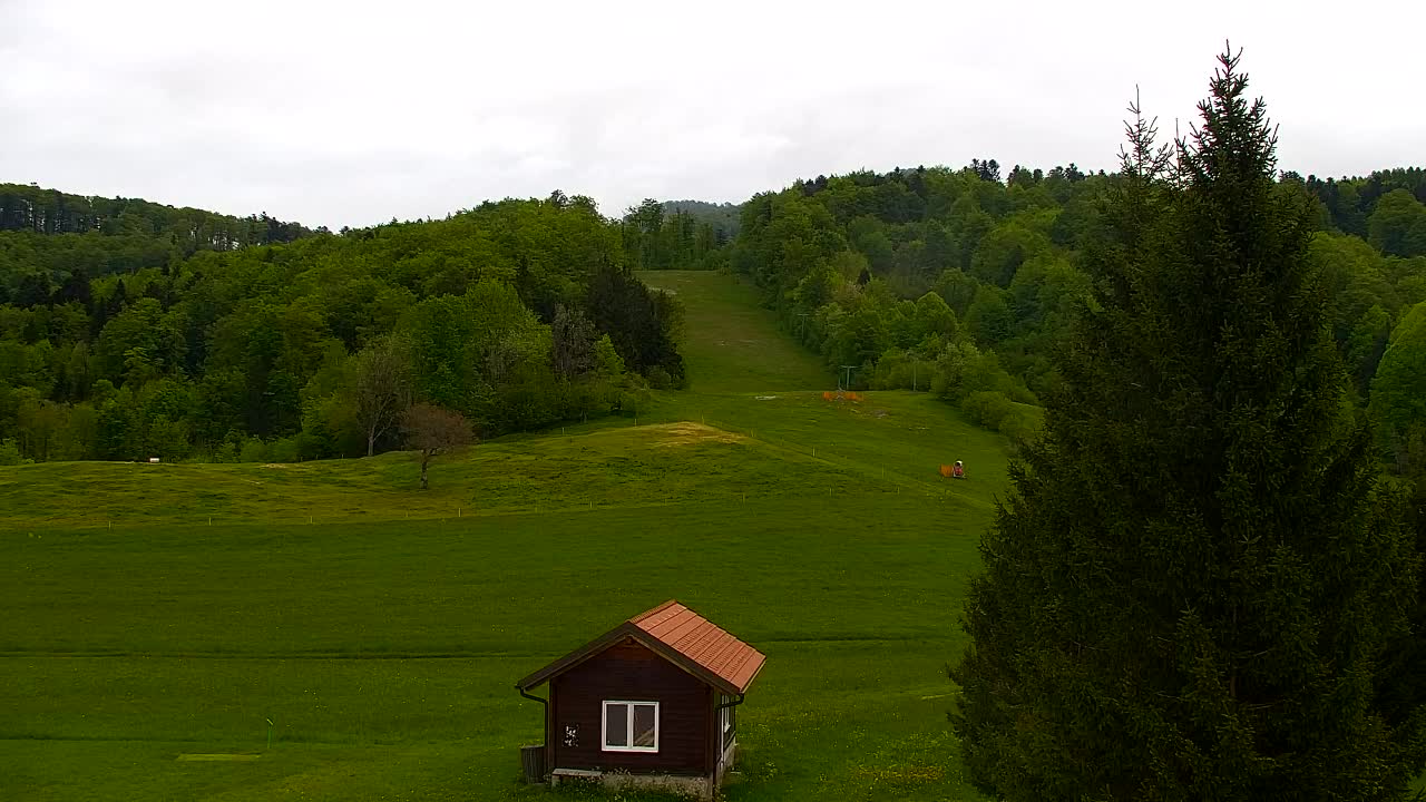 Webcam Lokve – La beauté de la forêt de Trnovo