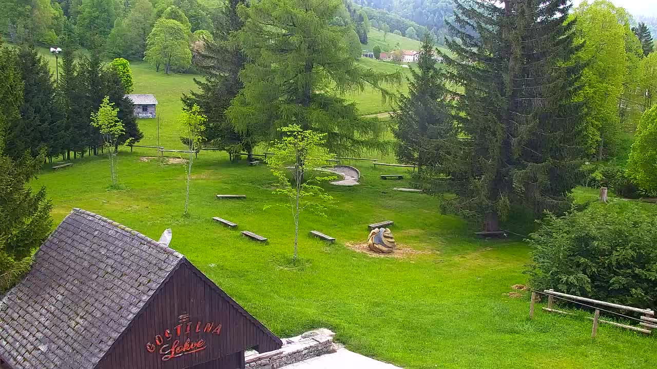 Webcam Lokve – La beauté de la forêt de Trnovo