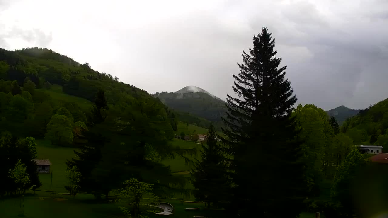 Webcam Lokve – The beauty of the Trnovo forest