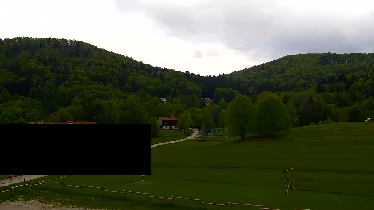 Webcam Lokve – The beauty of the Trnovo forest