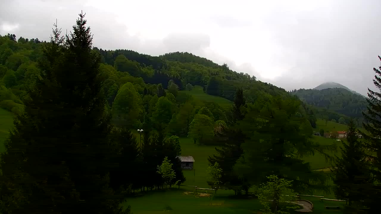 Webcam Loqua / Lokve – La bellezza della selva di Tarnova