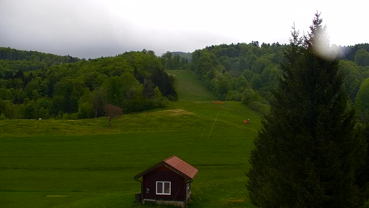 Webcam Lokve – The beauty of the Trnovo forest