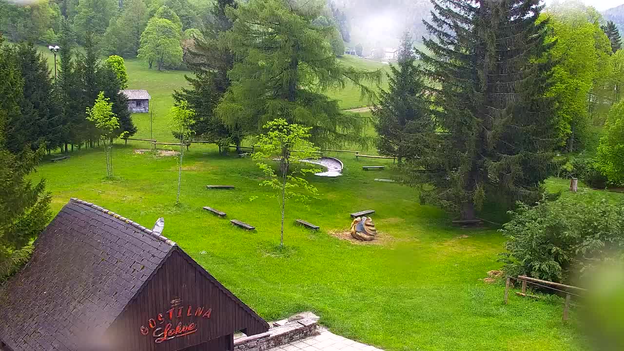 Camera en vivo Lokve – La belleza del bosque de Trnovo