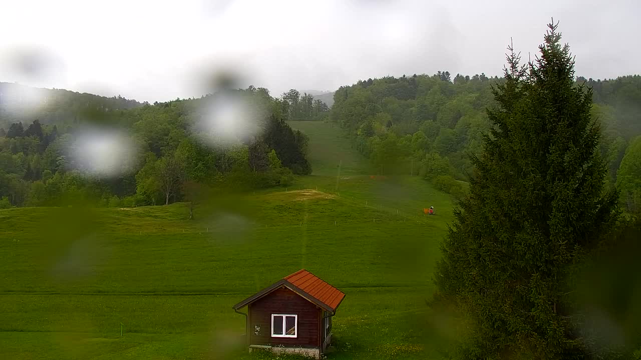 Webcam Lokve – La beauté de la forêt de Trnovo