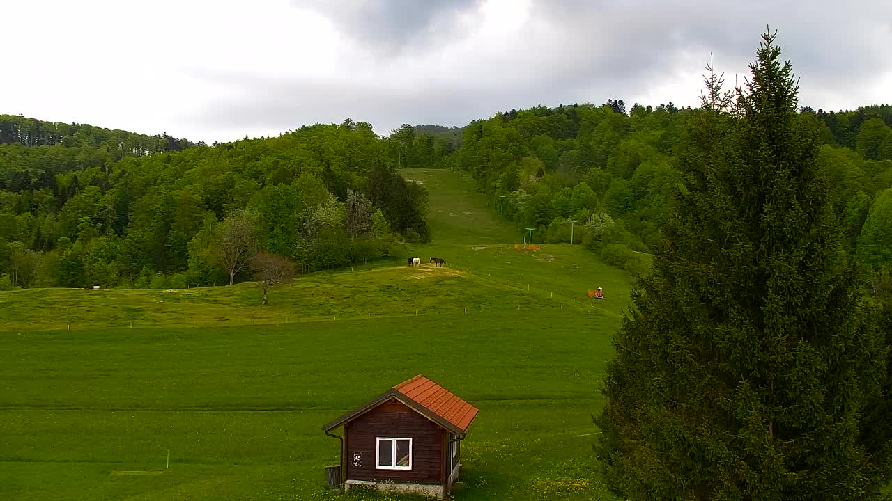 Lokve kamera – Naravne lepote Trnovskega gozda