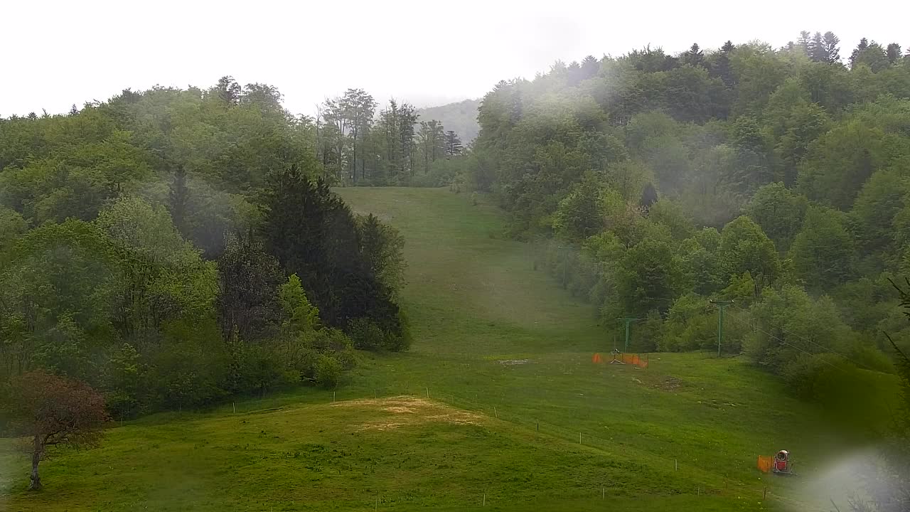 Webcam Loqua / Lokve – La bellezza della selva di Tarnova