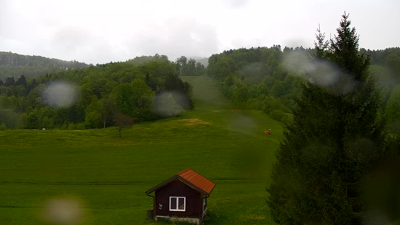 Webcam Loqua / Lokve – La bellezza della selva di Tarnova