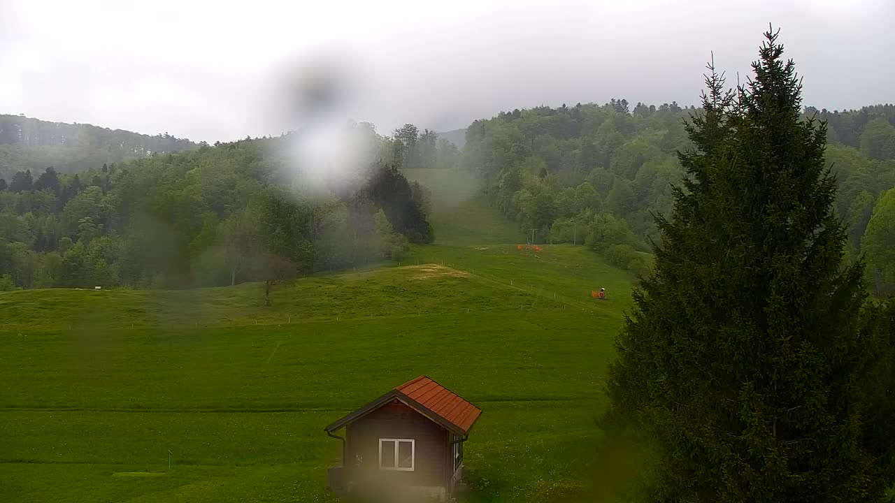 Webcam Lokve – The beauty of the Trnovo forest