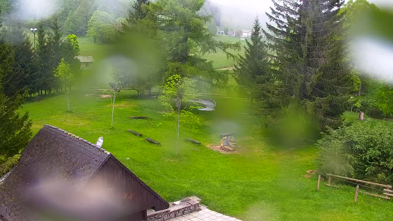 Webcam Lokve – La beauté de la forêt de Trnovo