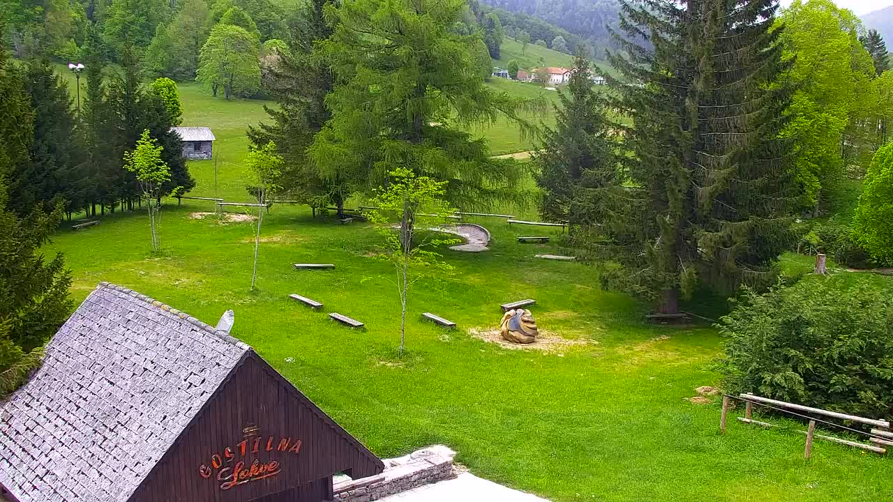 Webcam Lokve – La beauté de la forêt de Trnovo