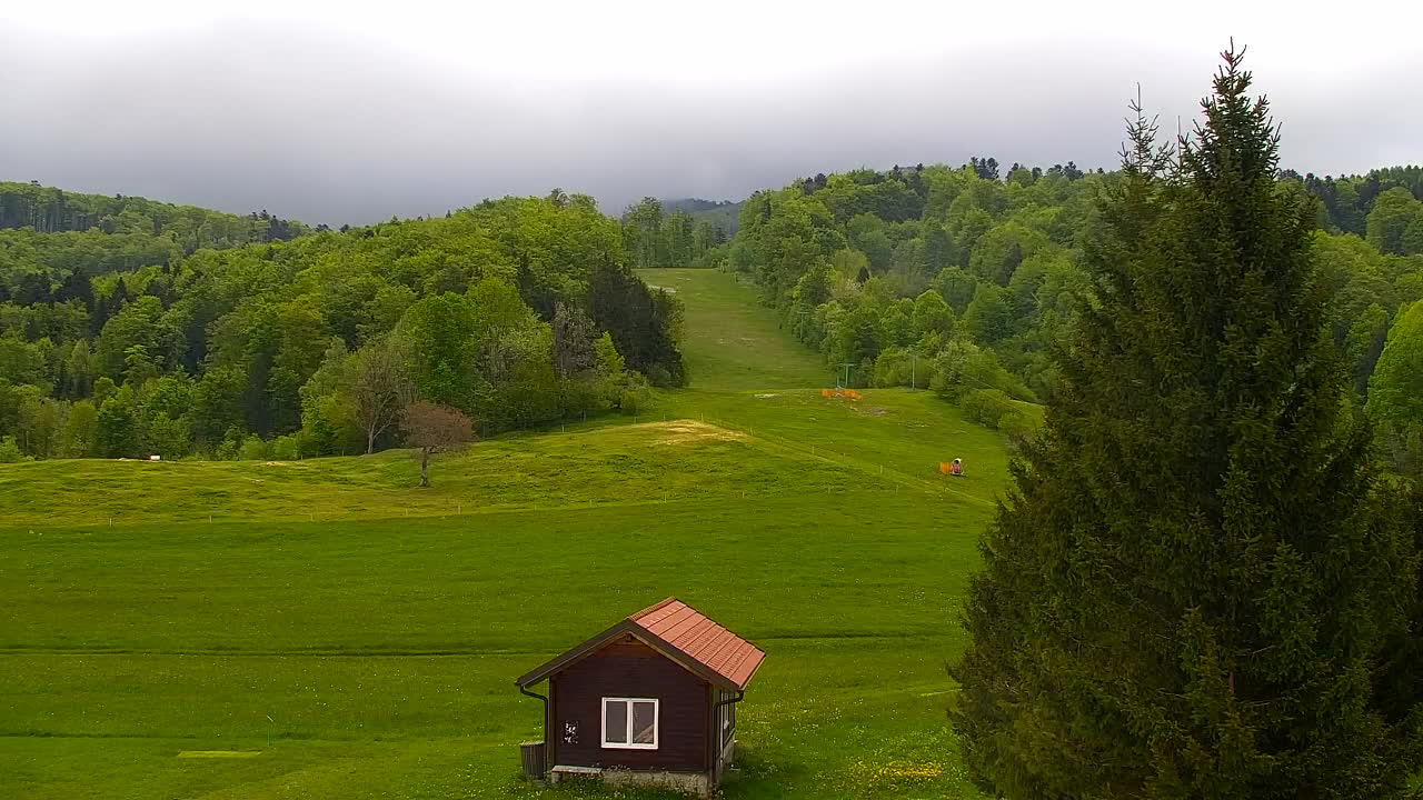 Webcam Lokve – The beauty of the Trnovo forest