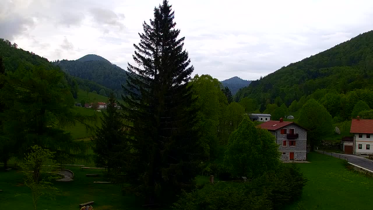 Webcam Lokve – The beauty of the Trnovo forest