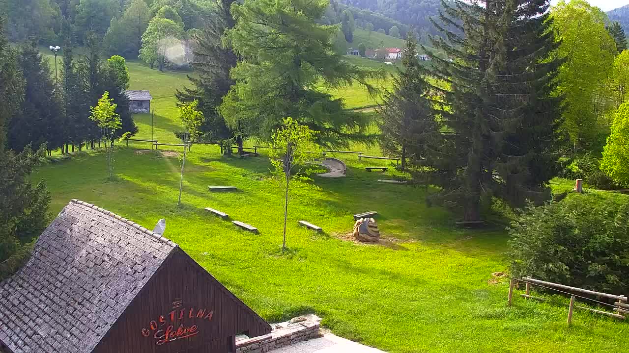 Webcam Lokve – The beauty of the Trnovo forest