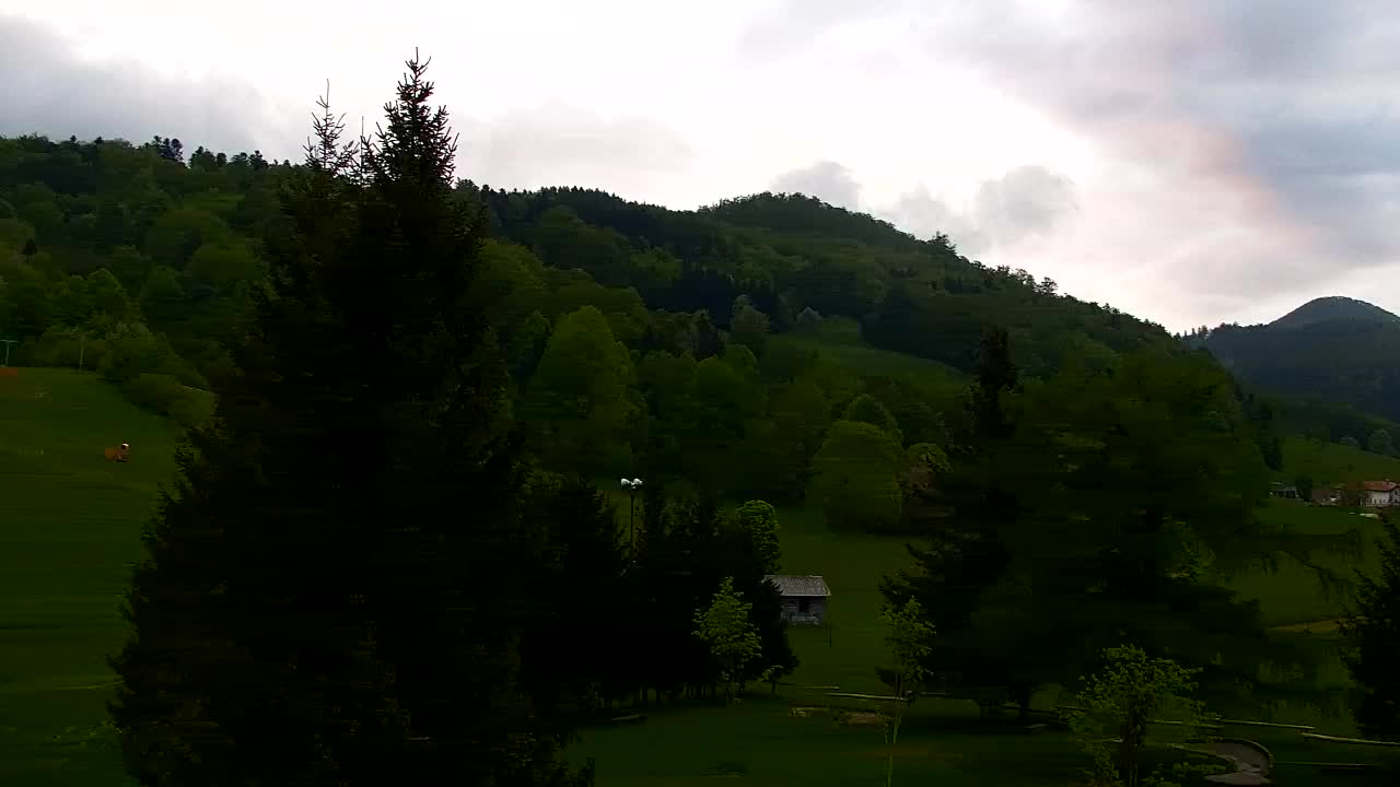 Webcam Lokve – The beauty of the Trnovo forest