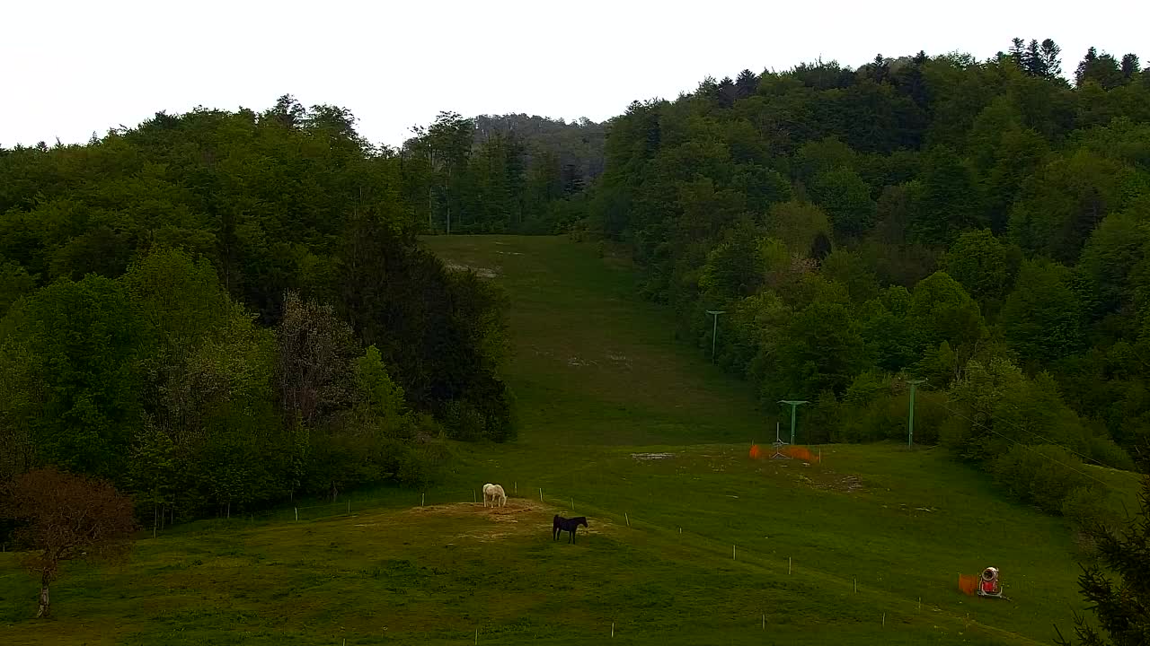 Webcam Lokve – La beauté de la forêt de Trnovo